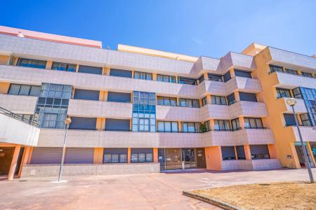 Bombarral, Leiria 2540-081, Portugal