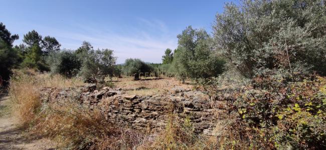 Penamacor, Castelo Branco 6090-000, Portugal