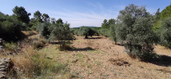 Penamacor, Castelo Branco 6090-000, Portugal