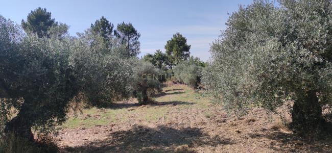 Penamacor, Castelo Branco 6090-000, Portugal