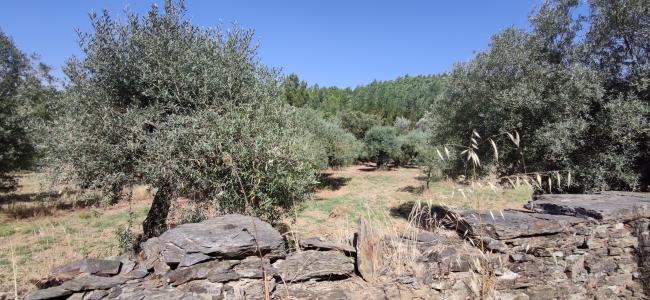 Penamacor, Castelo Branco 6090-000, Portugal