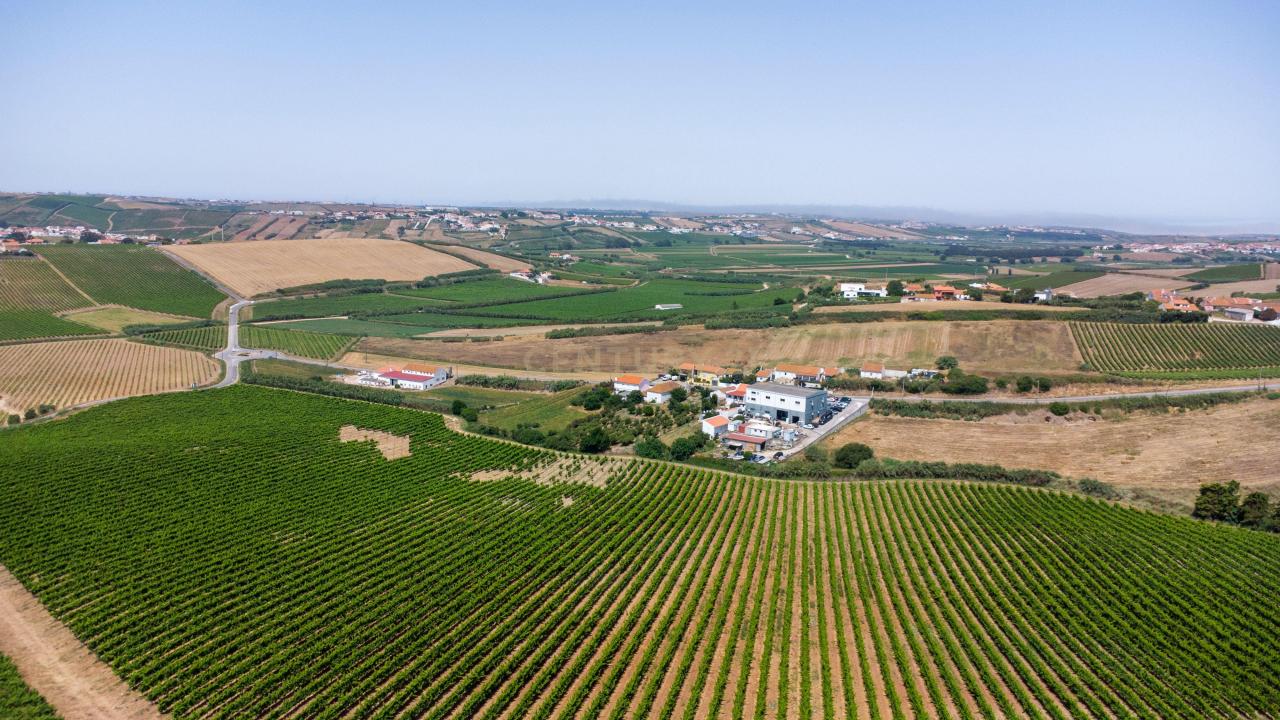 Torres Vedras, 葡京 2565-835, 葡萄牙