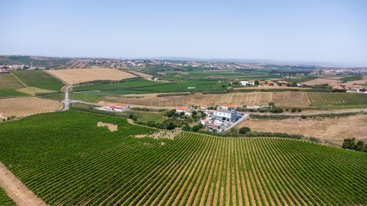 Torres Vedras, 葡京 2565-835, 葡萄牙