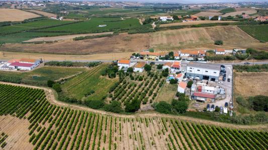 Torres Vedras, 葡京 2565-835, 葡萄牙