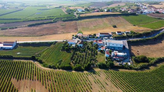 Torres Vedras, 葡京 2565-835, 葡萄牙