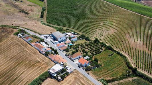 Torres Vedras, 葡京 2565-835, 葡萄牙