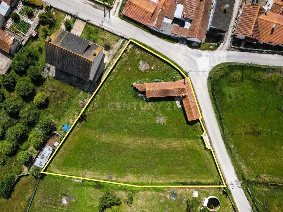 Montemor O Velho, كويمبرا 3140-045, البرتغال