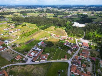 Montemor O Velho, كويمبرا 3140-045, البرتغال