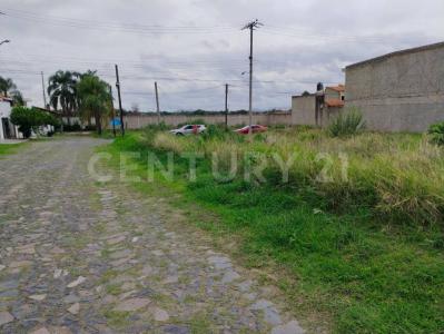 Camino a las Granjas S/N - Lote 12 - Manz 43 S/N,, Tlajomulco De Zúñiga, Jalisco 45645, Mexico