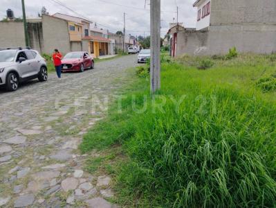 Camino a las Granjas S/N - Lote 12 - Manz 43 S/N,, Tlajomulco De Zúñiga, Jalisco 45645, Mexico