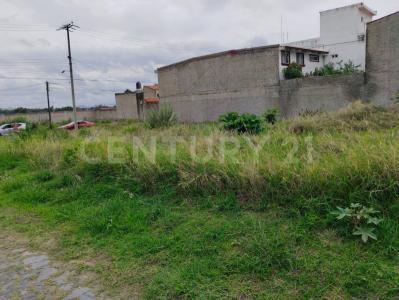 Camino a las Granjas S/N - Lote 12 - Manz 43 S/N,, Tlajomulco De Zúñiga, Jalisco 45645, Mexico