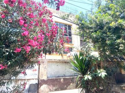 Estafetas ,, Benito Juárez, Ciudad De México 03410, Meksika