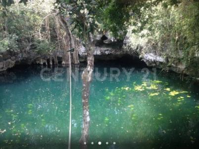 N/A km 16.5,, Puerto Morelos, Quintana Roo 77580, México