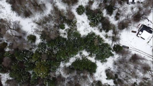 SIN NOMBRE S/N, San Martín De Los Andes, Neuquén 00001, Argentine