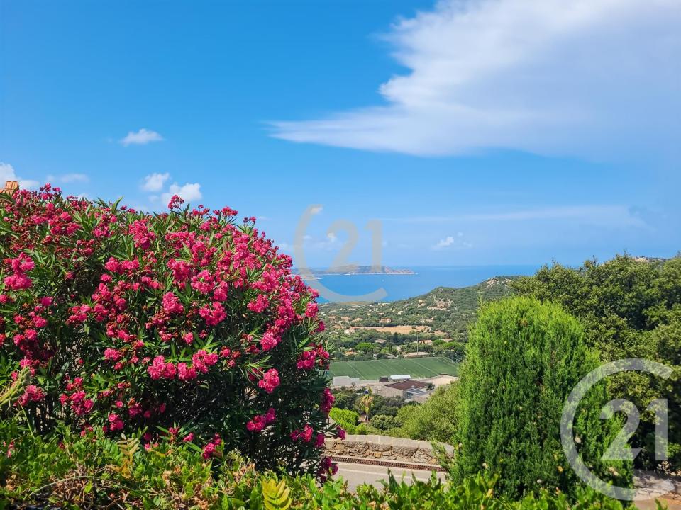 Lumio, Corse 20260, Франция
