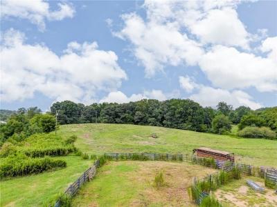 667 Antioch Church Road, Talking Rock, Georgia 30175, Stati Uniti