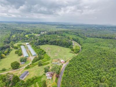 667 Antioch Church Road, Talking Rock, Georgia 30175, Stati Uniti