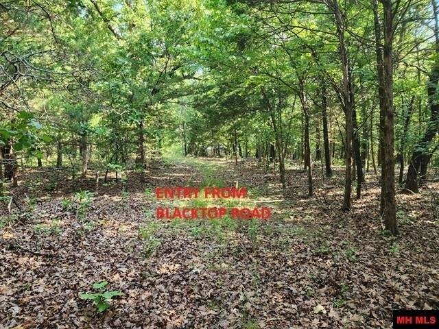 1271 CR 782, Mountain Home, Arkansas 72653, HOA KỲ