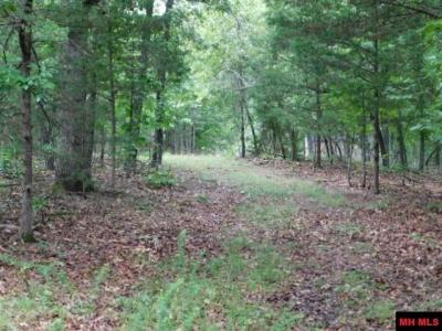 1271 CR 782, Mountain Home, Arkansas 72653, HOA KỲ