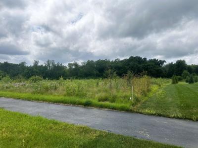 5048 Smokethorn Trail, Belvidere, אילינוי 61008, ארצות הברית של אמריקה