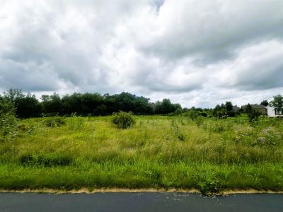 5048 Smokethorn Trail, Belvidere, Illinois 61008, USA