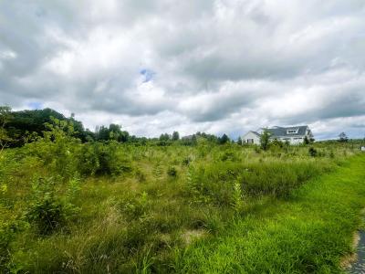 5048 Smokethorn Trail, Belvidere, אילינוי 61008, ארצות הברית של אמריקה