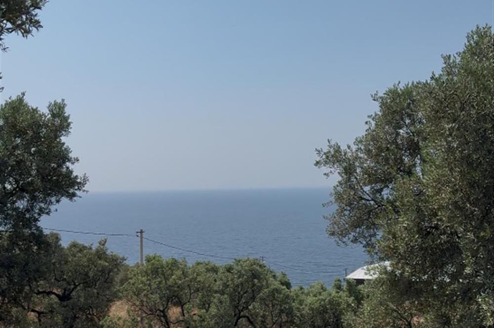 Bursa, טורקיה