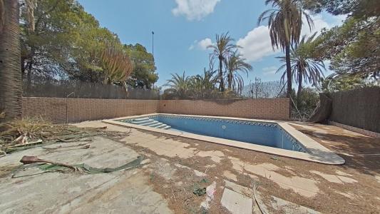 Alacant/Alicante, Comunitat Valenciana 03291, إسبانيا