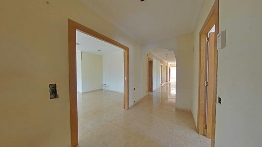 Alacant/Alicante, Comunitat Valenciana 03291, إسبانيا