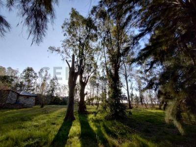 La Pista y Ruta 26 S/N, Escobar, GBA Norte 00001, الأرجنتين