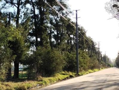 La Pista y Ruta 26 S/N, Escobar, GBA Norte 00001, الأرجنتين