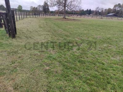 Llanquihue, Región De Los Lagos 00001, Chile