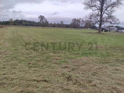 Llanquihue, Región De Los Lagos 00001, Chile