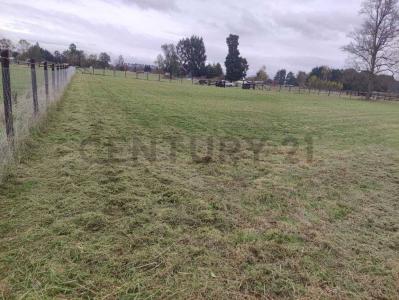 Llanquihue, Región De Los Lagos 00001, Chile