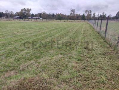 Llanquihue, Región De Los Lagos 00001, Chile