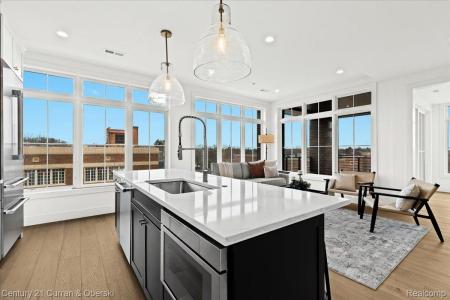 156 N Center Street , UNIT 301, Northville, Michigan 48167, Amerika Birleşik Devletleri