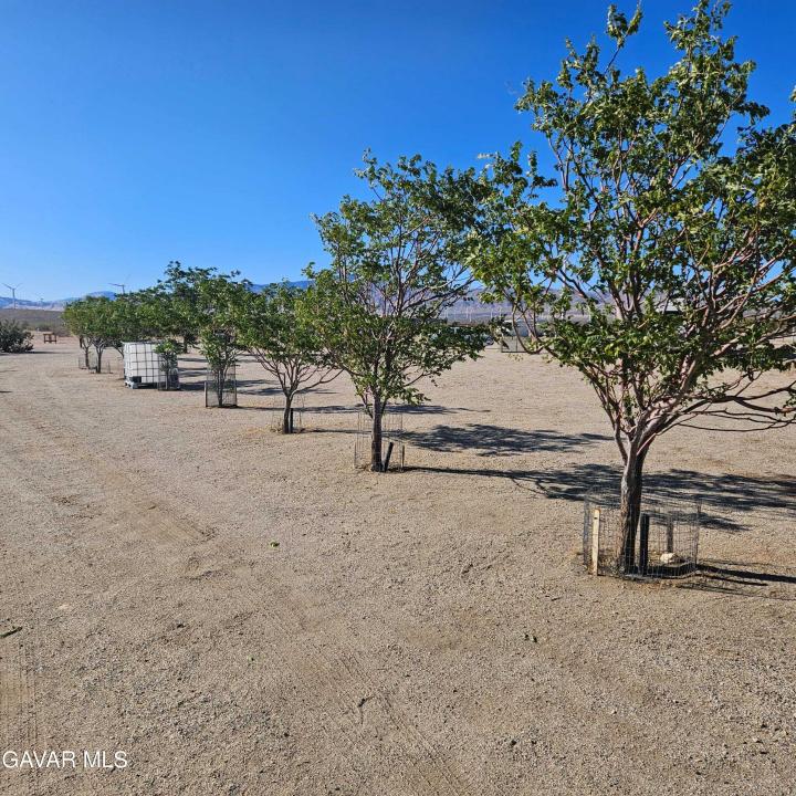 3410 W 170th Street, Rosamond, كاليفورنيا 93560, الولايات المتحدة