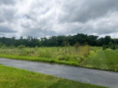5048 Smokethorn Trail, Belvidere, 伊利諾州 61008, 美國