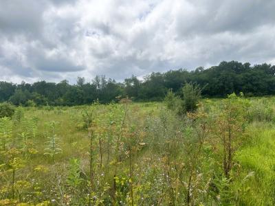 5048 Smokethorn Trail, Belvidere, 伊利諾州 61008, 美國