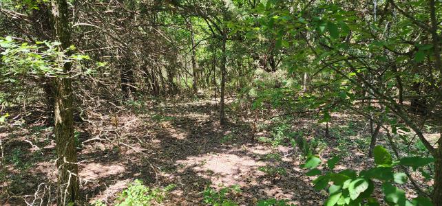 Rs County Road 1450, Point, Texas 75472, USA