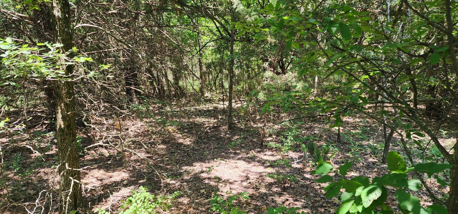 Rs County Road 1450, Point, Texas 75472, Estados Unidos