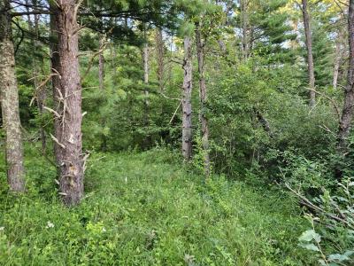 00 Gale Court, Wisconsin Dells, Wisconsin 53965