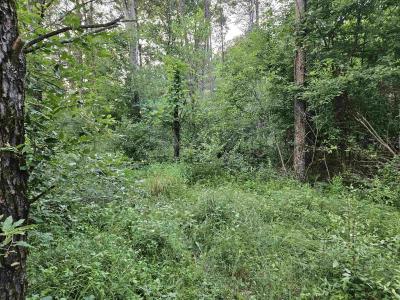 00 Gale Court, Wisconsin Dells, Wisconsin 53965