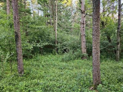 00 Gale Court, Wisconsin Dells, Wisconsin 53965