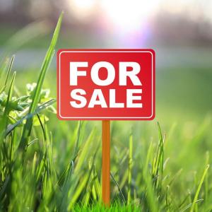 4 PIPI CRESCENT, Tuakau, Waikato District 2121, 新西兰