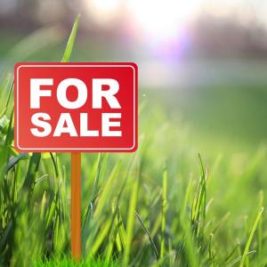 4 PIPI CRESCENT, Tuakau, Waikato District 2121, 新西兰