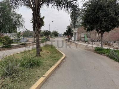 Urb. los Sauces II etapa , Lima, Lima 00001, Peru