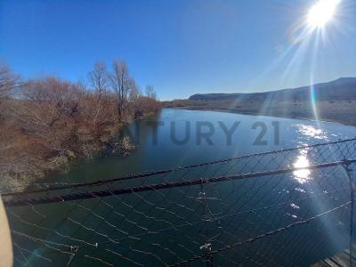 Loncopué, Neuquén 00001, Argentyna