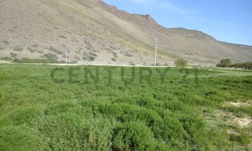 Loncopué, Neuquén 00001, Argentine