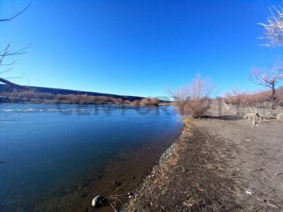 Loncopué, Neuquén 00001, Argentine
